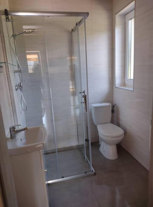 Apartamenty - Domek Bobrowe Zacisze 3 Janowice Wielkie Extérieur photo